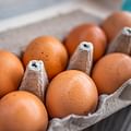 eggs