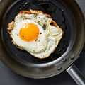 egg